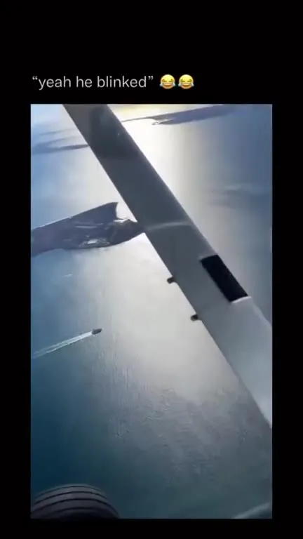 Yeah He Blinked Airplane Meme