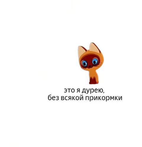 Кот дуреет без прикормки