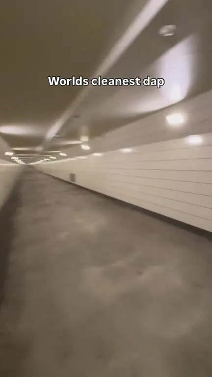 World's Cleanest Dap