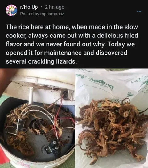 Fried Rice Mystery Solved