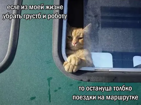 Только поездки на маршрутке