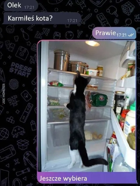 Karmiłeś kota? Prawie