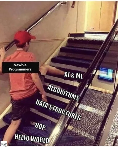 Newbie Programmer Learning Stairs