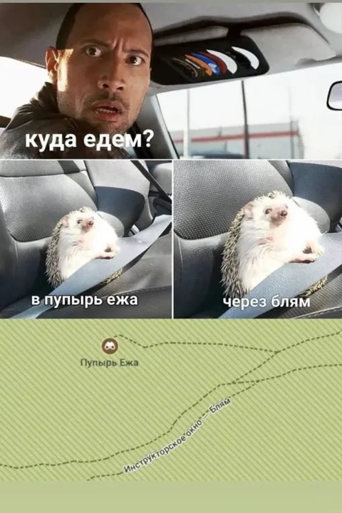Куда едем на ёжике