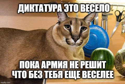 Диктатура — это весело