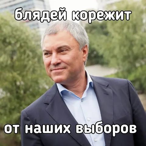 Блядей корежит от выборов