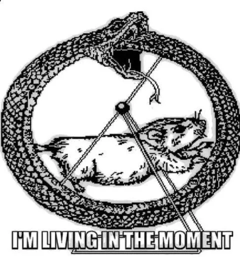 Cat Living in the Moment