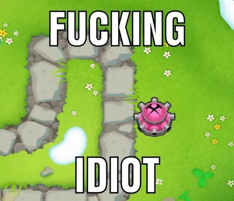 Fucking Idiot Mine Mistake