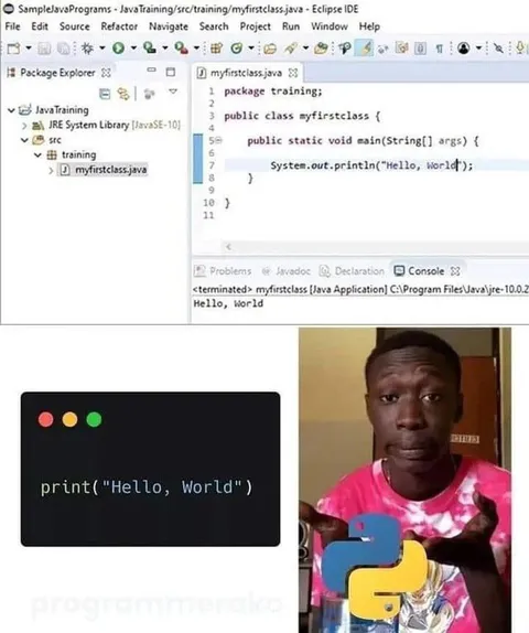 Hello World Programming Reaction