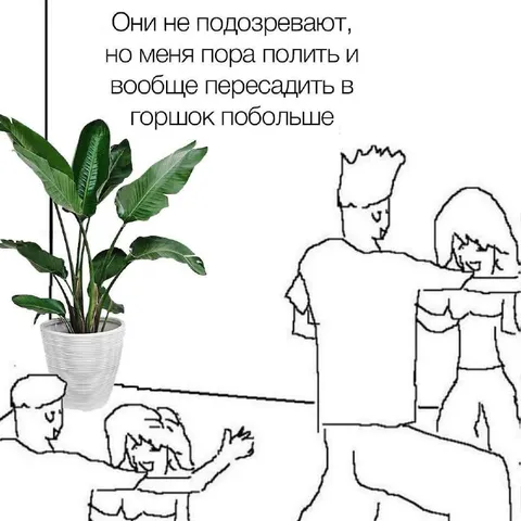 Растение готовится к пересадке