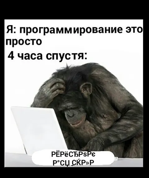Программирование через четыре часа