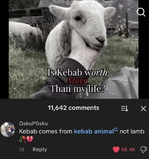 Is Kebab Worth My Life?