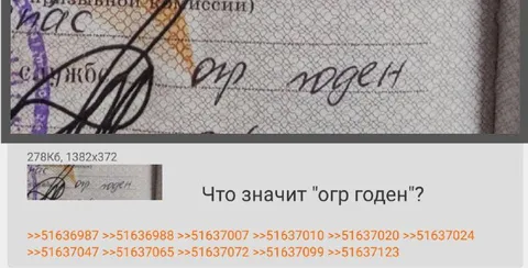Что значит «огр годен»?