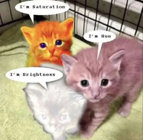 Three Kittens of Color