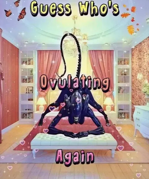 Guess Who's Ovulating Again