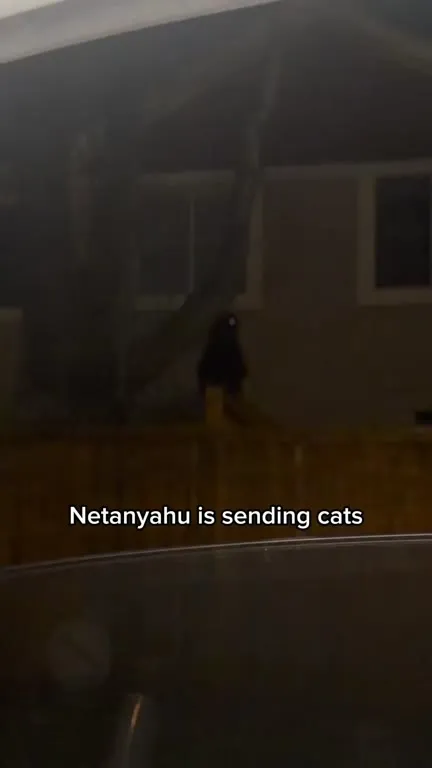 Netanyahu Sends AI-Eyed Cats