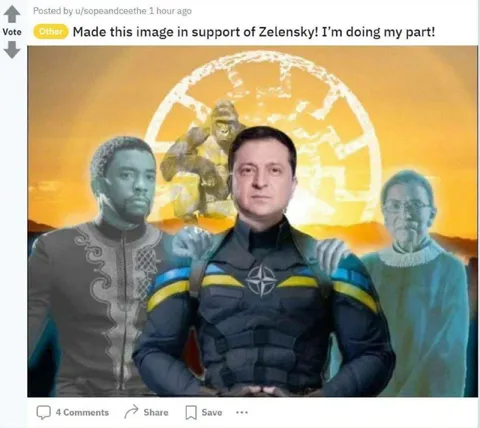 Zelensky Support Image