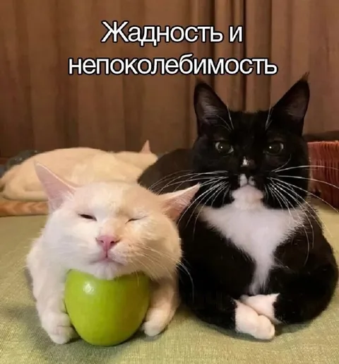 Жадность и непоколебимость