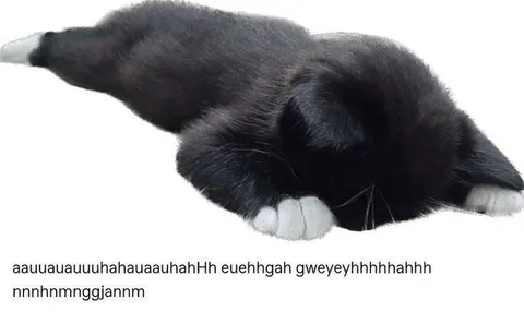 Кот орёт во сне