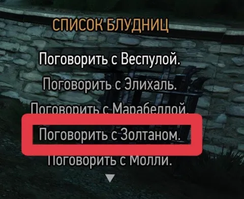 Поговорить с Золтаном