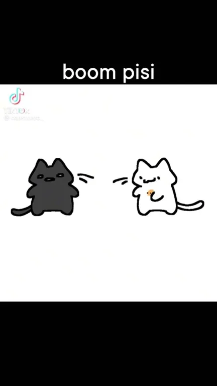 Boom Pisi Cats