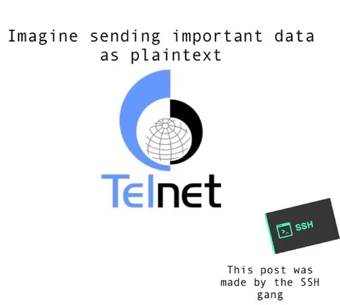 Plaintext Data over Telnet