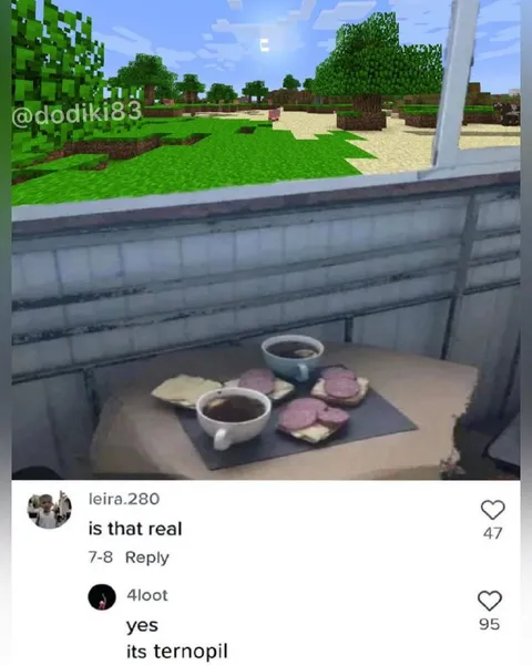 Minecraft Picnic Is Real