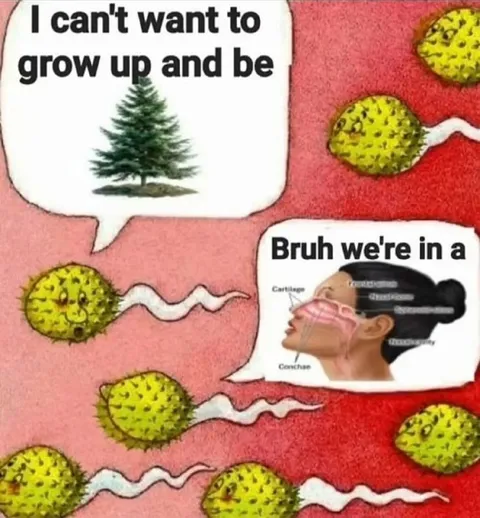 Sperm Want To Grow Up