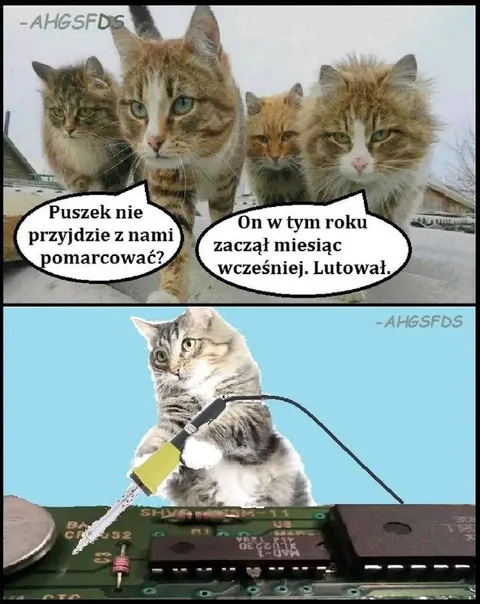 Kot zaczął lutować wcześniej