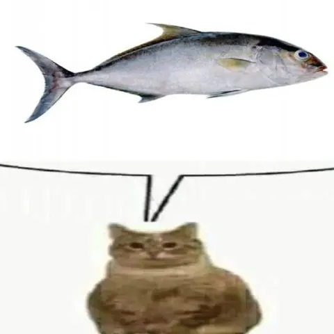Кот смотрит на рыбу