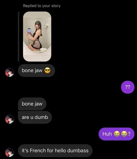 It’s French for Hello Dumbass