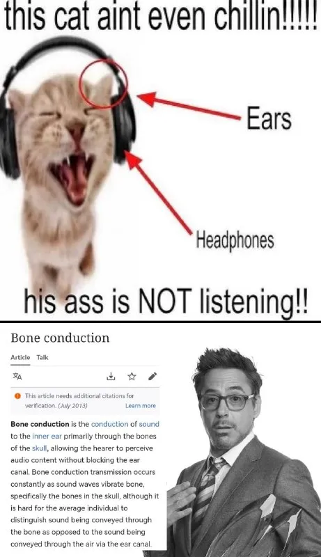 Cat Pretends to Listen