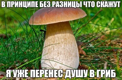Душа уже в грибе