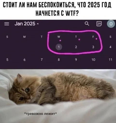 2025 начинается с WTF