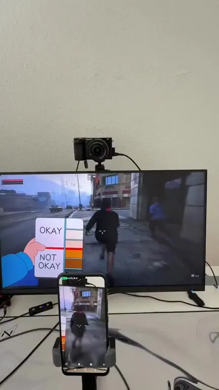 Okay or Not Okay Gameplay