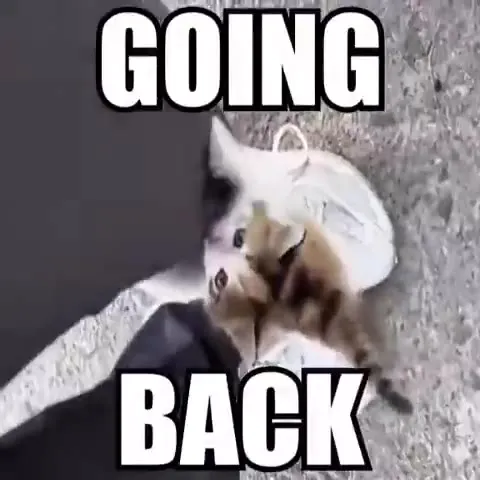 Going Back But I Can't Reciprocate