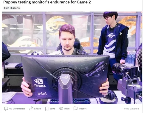 Puppey Tests Monitor Endurance