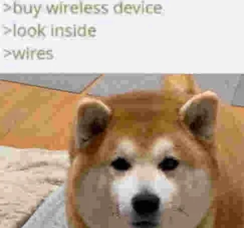 Wireless Device With Wires