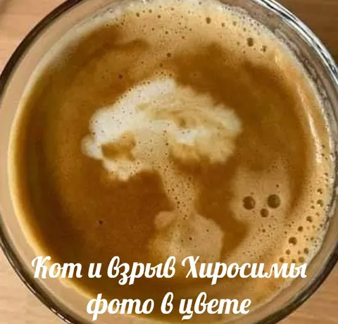 Кот и взрыв Хиросимы