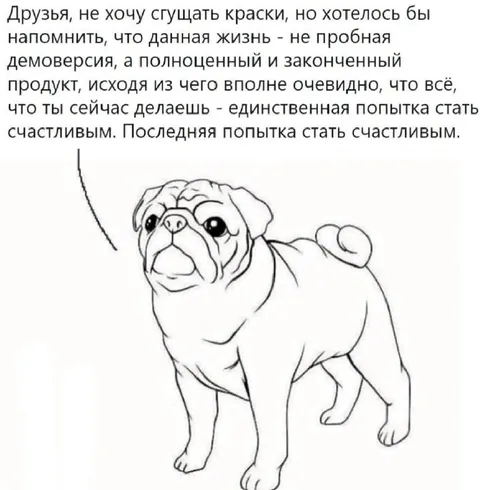 Последняя попытка стать счастливым
