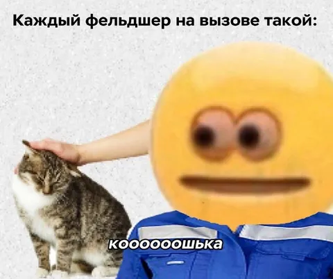 Каждый фельдшер на вызове