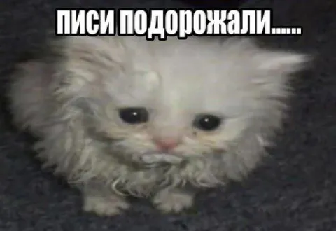 Писи подорожали