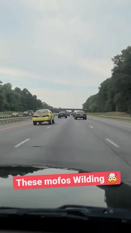 These Mofos Wilding on the Highway