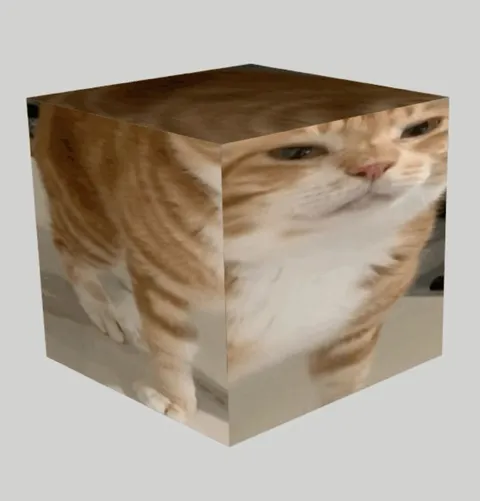 Кот в форме куба