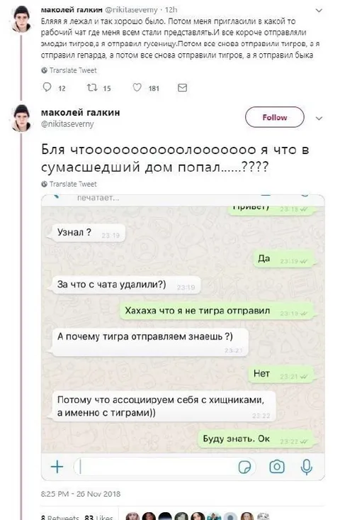 Тигры и сумасшедший рабочий чат