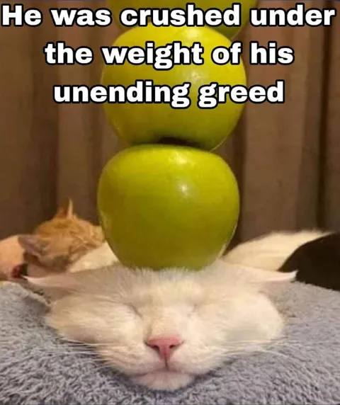 Cat Crushed by Greed