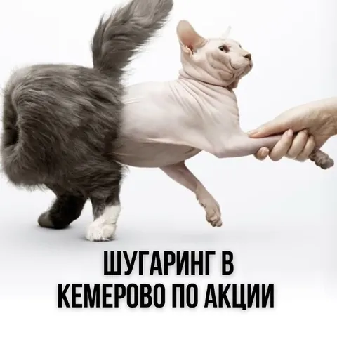 Шутаринг в Кемерово по акции