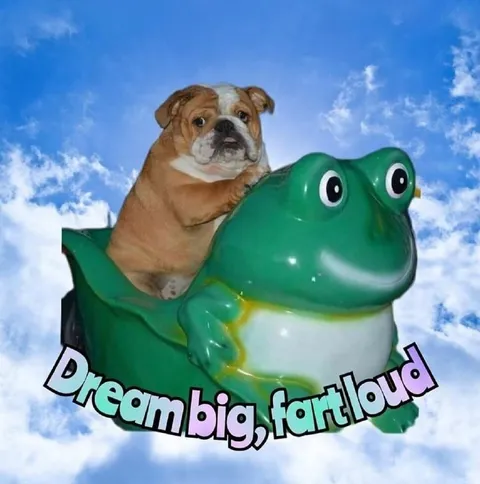Dream Big, Fart Loud