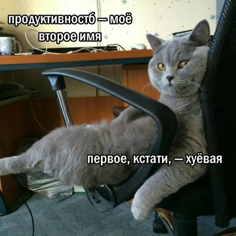 Продуктивность — моё второе имя