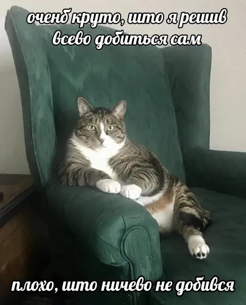Сам добился и ничего не добился